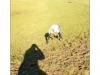 Riverbank Rollick - 18.1.15