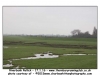 Riverbank Rollick â€“ 17.1.16 â€“ www.thornburyrunningclub.co.uk